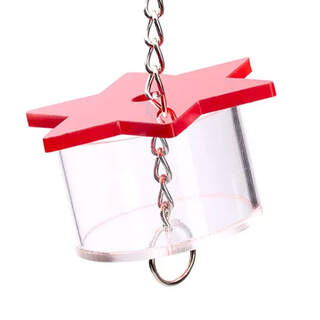 Bainbridge Interactive Bird Toys Foraging Star Forager