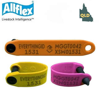 (QLD ONLY) Allflex RapID NLIS eID 8 x Year-of-Birth Colour + Post-Breeder Electronic HDX RFID Sheep & Goat Ear Tag (QLD REBATE)