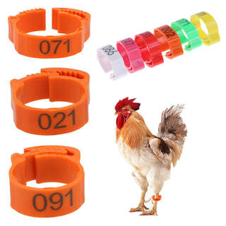 Adjustable Chicken Poultry Leg Rings Bird Numbered 1-100 Bands - 100 Pack