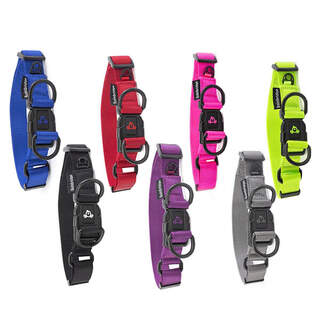 Bainbridge Premium Nylon Dog Collar With Logo & Double Heavy Duty D-Ring