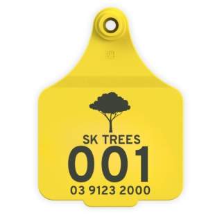 Tree Tag: Custom Printed Outdoor Tree / Plant / Arborist Plastic Asset Large / Extra Large Identification Tag