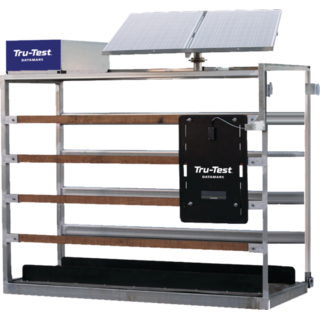 Tru-Test Prime 4000C - Permanent Install In-Paddock Cattle Weighing System - LTE, WiFi or Satellite