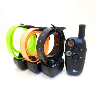 DT Systems MR1100 with 3 Dog E-Collar