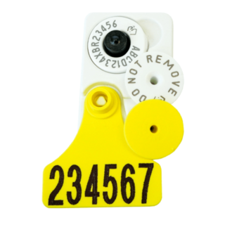 Allflex Matching Cattle Management and NLIS Tags Combination Tray Pack