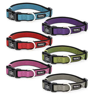 Bainbridge Premium Sport Dog Collars With Padded Neoprene
