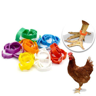 Adjustable Chicken Poultry Leg Rings Bird Blank Bands - 100 Pack