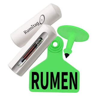 Z Tags Rumitag NLIS HDX Cattle Bolus + Green Rumen Tag & Button