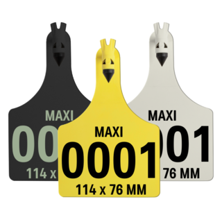 Allflex A-Tag One Piece Maxi Cattle Management Ear Tag