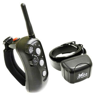 DT Systems R.A.P.T 1400 Trainer with Dog E-Collar