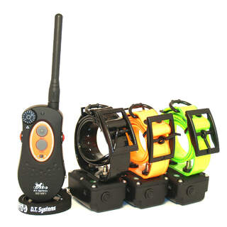 DT Systems H20 1820 Remote with 3 Dog Training Collar