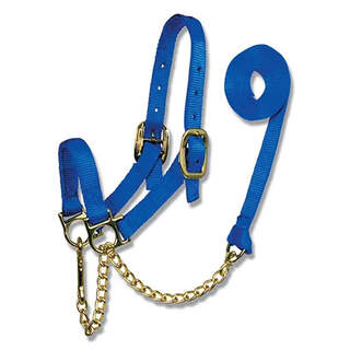 Bainbridge Nylon Bull Show Halter Harness with Matching Lead