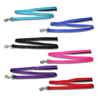 Bainbridge Nylon Webbing Dog Lead With Padded Handle - 120cm