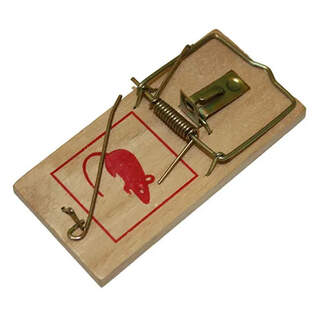 Bainbridge Mouse Rat Wood Snap Traps