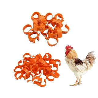 Medium Bird Pheasanta Bantams Orange Leg Rings Numbered Bands 12mm - 100 Pack