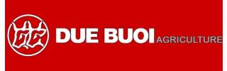 Due Buoi
