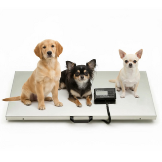 Large Digital Pet Electronic Weighing Scale LCD Display