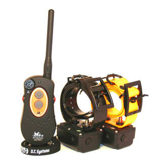 DT Systems H20 1820 Remote with 2 Dog Training Collar