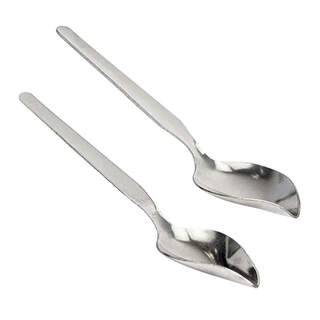 Bainbridge Bird Feeding Spoon