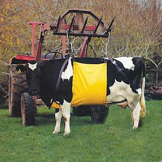 Bainbridge Supreme Cow Lifter Sling