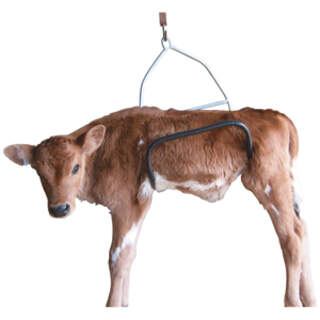 Calf Weigh Cradle for Weighing Calves
