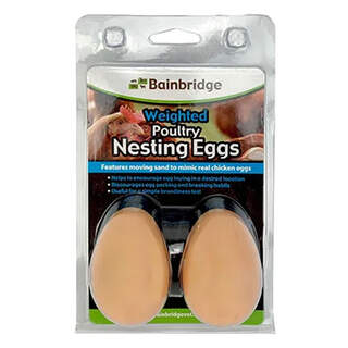 Bainbridge Poultry Nesting Egg - Weighted - 2 Pack