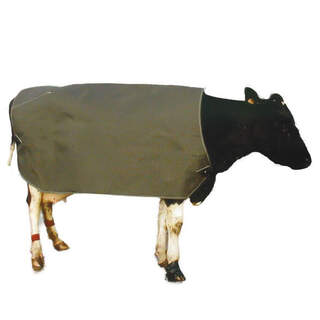 Cow Cover Thermal Emerge Large Friesian