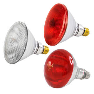 Bainbridge Infrared Light and Heating Bulbs for Brooding Cage Metal