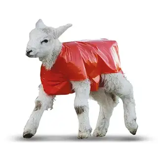 Lamb Blankets  (50 Pack) - Bainbridge Newborn Plastic Jackets Covers To Protect Against Hypothermia