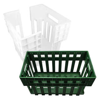 Bainbridge Egg Transport Box - Small &amp; Large