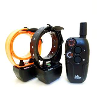 DT Systems MR1100 with 2 Dog E-Collar