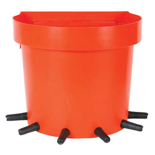 Shoof Calf Feeder Bucket 6 Place Fence / Rail 20L Complete Milk Station with Big Softy Teats