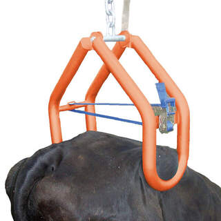 Cow Lifter Shoof Quick-Lift Complete