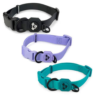 Bainbridge Waterproof Coated PVC Odour Free Dog Collars