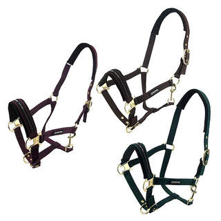 Bainbridge Horse Halters