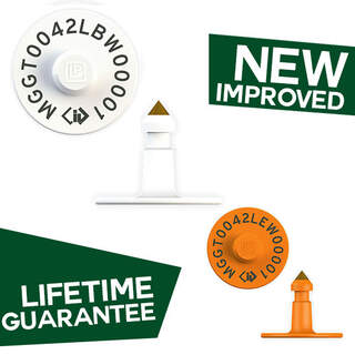 Leader NLIS Enviro Electronic HDX eID Cattle Tag - Envirotag & Male Button - Breeder / Post-Breeder