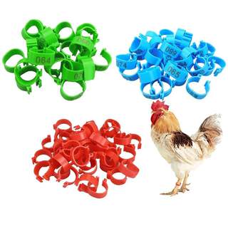 Bird Chicken Poultry Leg Rings Numbered Bands - 24 Pack