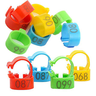 Small Pigeon Bird Leg Rings Numbered 1-100 6mm Bands - 100 Pack