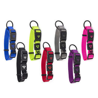 Bainbridge Premium Nylon Dog Collar With Logo & Heavy Duty D-Ring