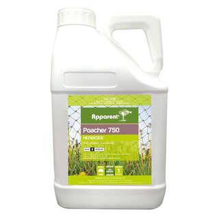 Apparent Poacher 750 Herbicide 750g/l Imazapyr Non-crop Weed Killer 1kg