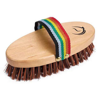 Bainbridge Equine Horse  Premium Wood Hard Bristle Grooming Brush With  Rainbow Strap