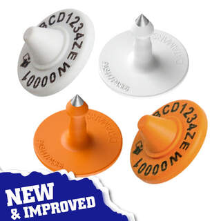 Z Tags NLIS Cattle eID Tag & Male Button HDX Electronic Breeder & Post-Breeder RFID Tag by Datamars (New Improved)