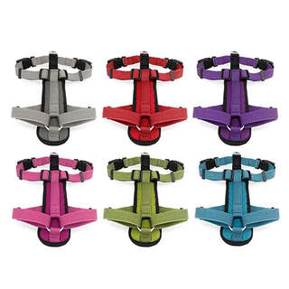 Bainbridge Premium Sport Dog Harness With Padded Neoprene Safety Handle