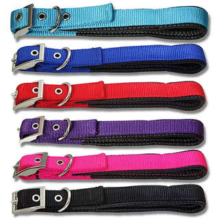 Bainbridge Padded Nylon Webbing Dog Collars - 35cm, 40cm, 45cm, 50cm, 55cm, 60cm, 65cm