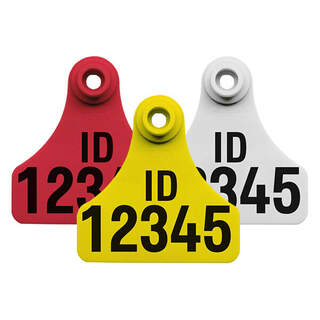 Allflex Medium Female Cattle Management Ear Tag