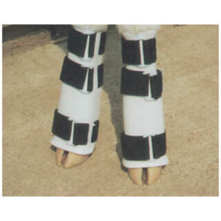Shoof Ozland Calf ABS Front Leg Splint (Pair of 2) for Correcting Flexed Pastern Joint