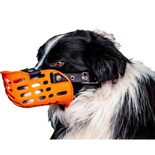 AgBoss Working Dog Muzzle - Plastic