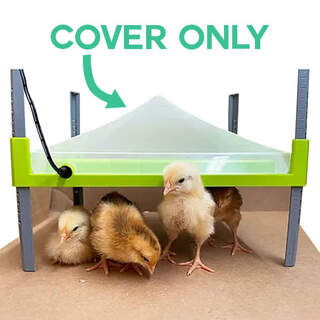 Bainbridge Cover for Poultry Chick Brooder Heating Plate - 23cm x 30.5cm