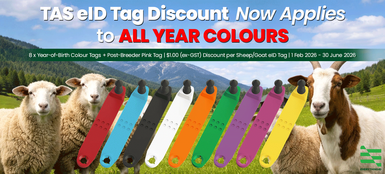 Tasmania extends eID tag rebates to all colours of sheep & goat NLIS tags