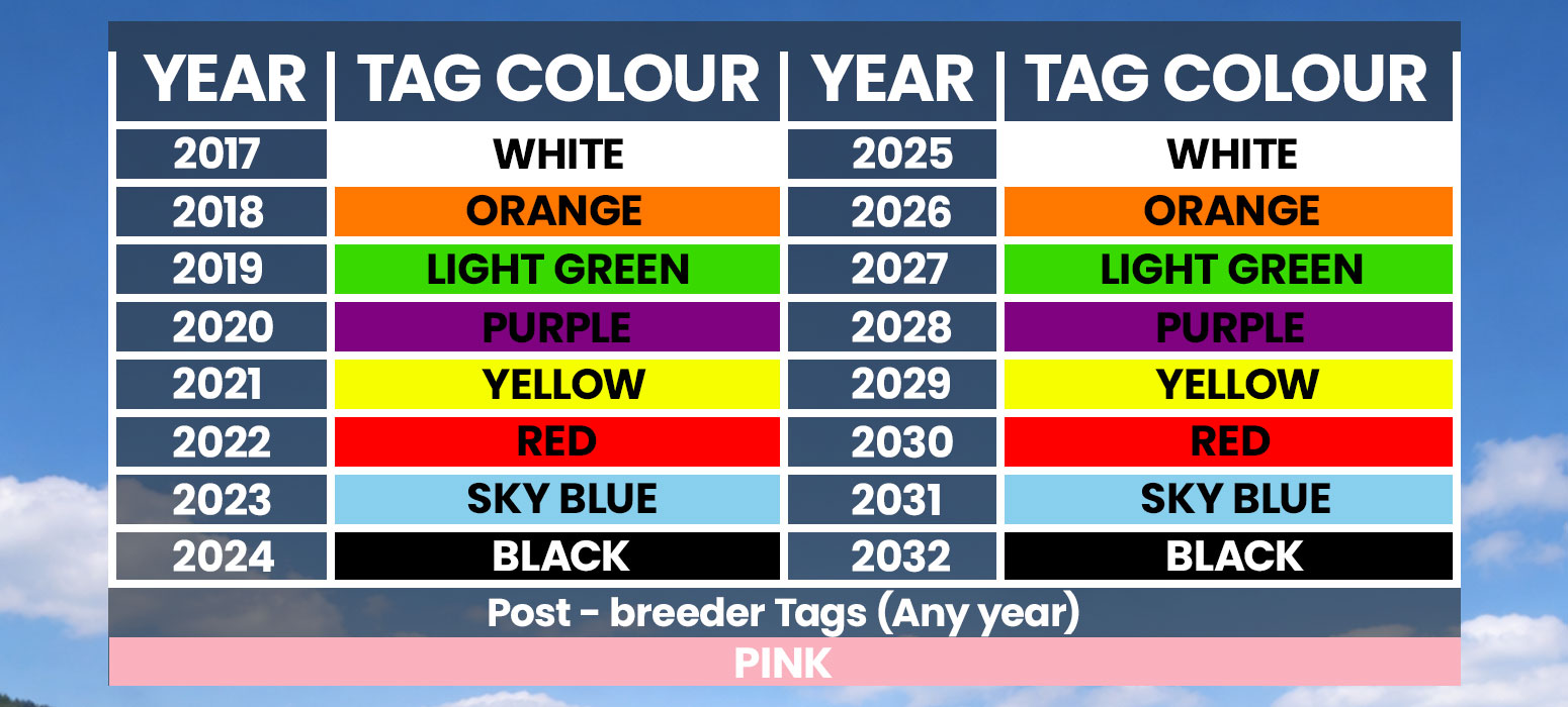 NLIS Sheep Tag Year Colours