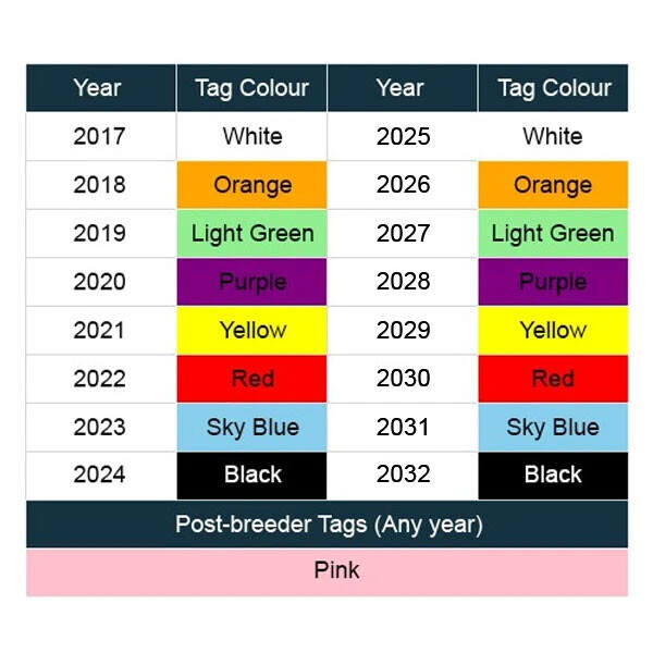 Recommended Tag Colour by Year